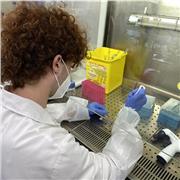 Estudiante de último curso de biotecnología. Imparto clases de bioquímica y relacionadas de forma online.